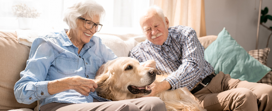 Pet Cremation Melbourne