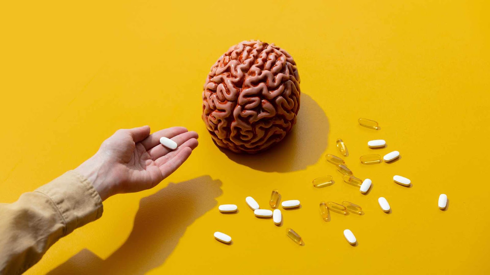 nootropics depot