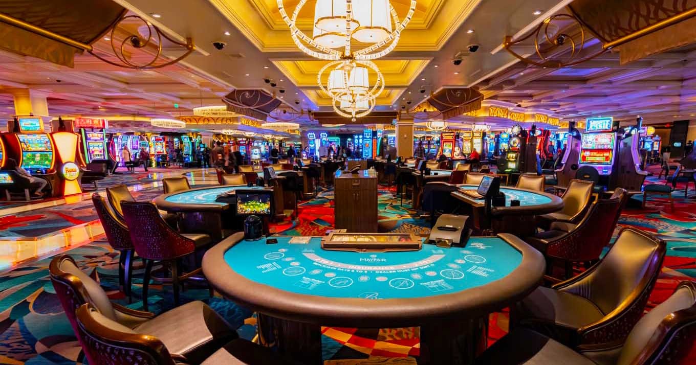 Betting Site