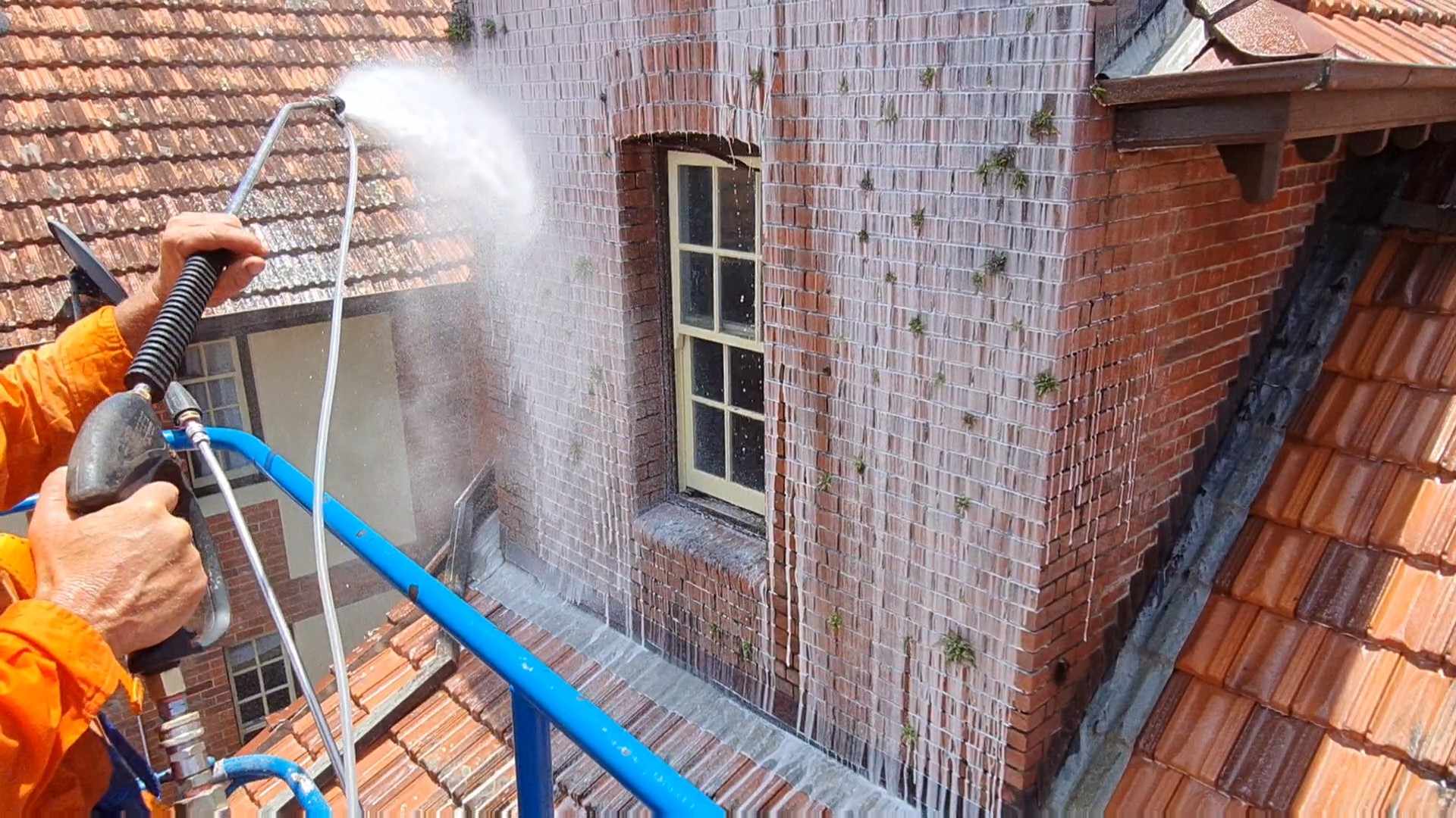 bond cleaning