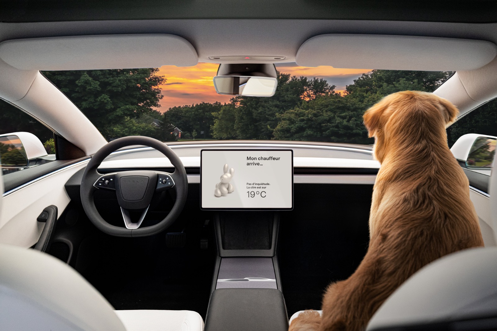 Best Tesla Accessories