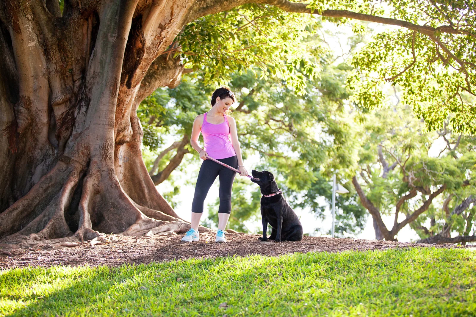 Obedience Training