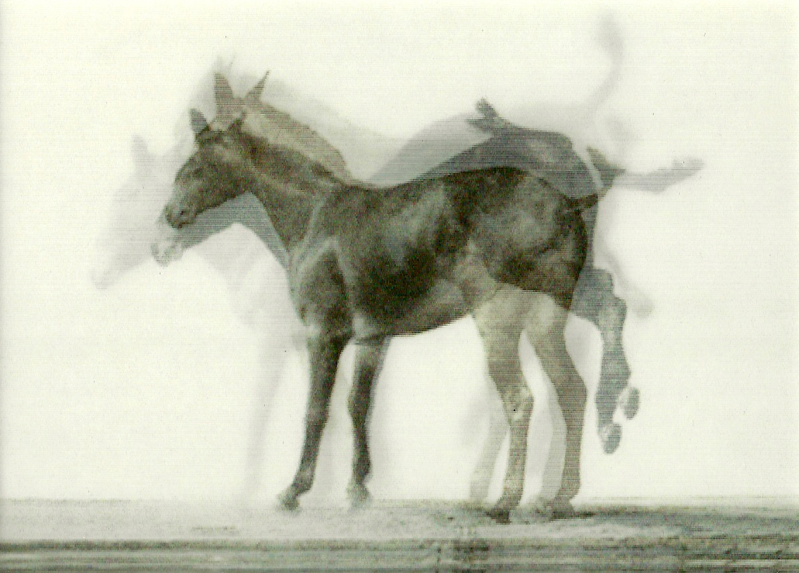 lenticular printing