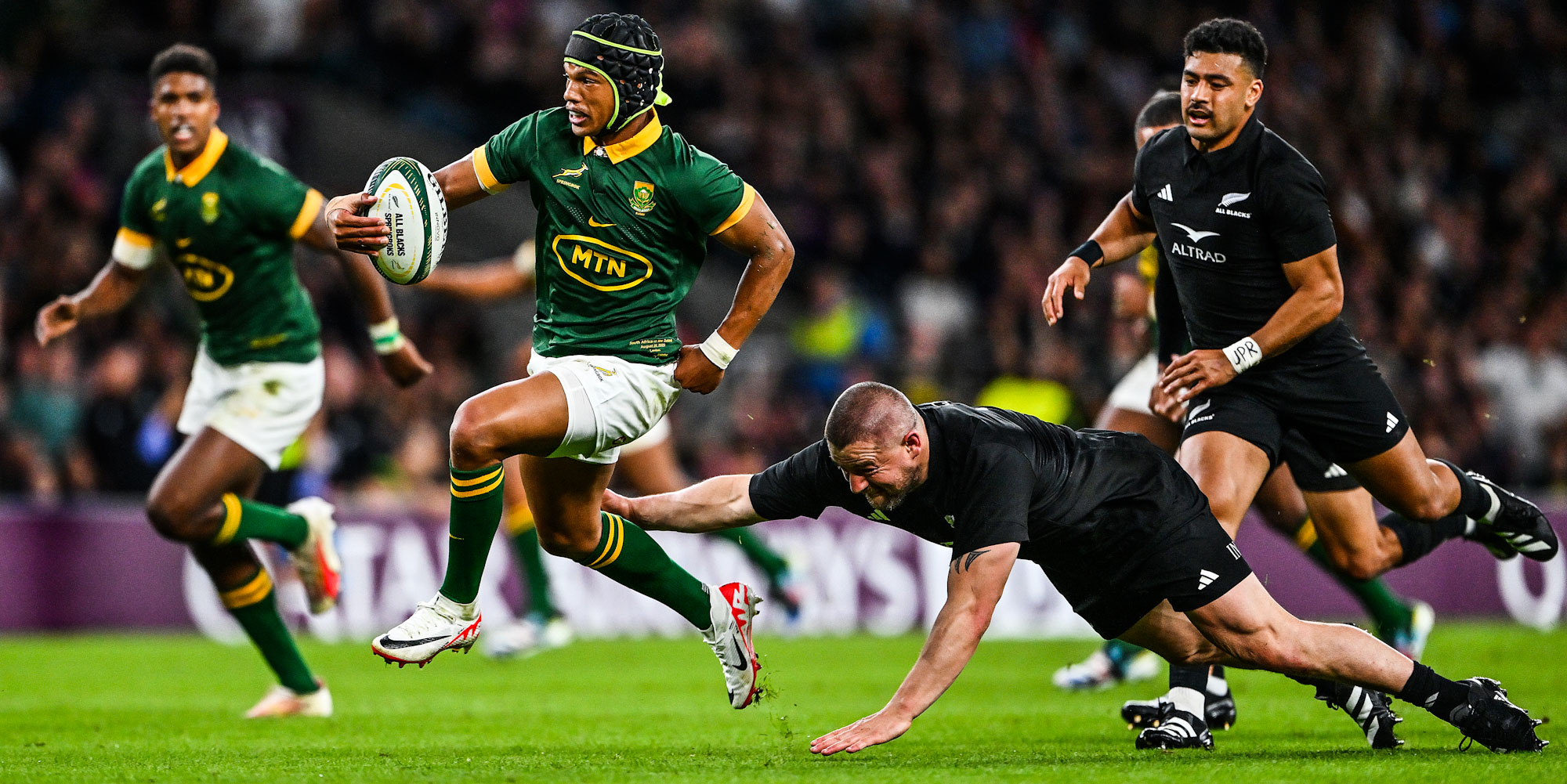 springboks vs new zealand