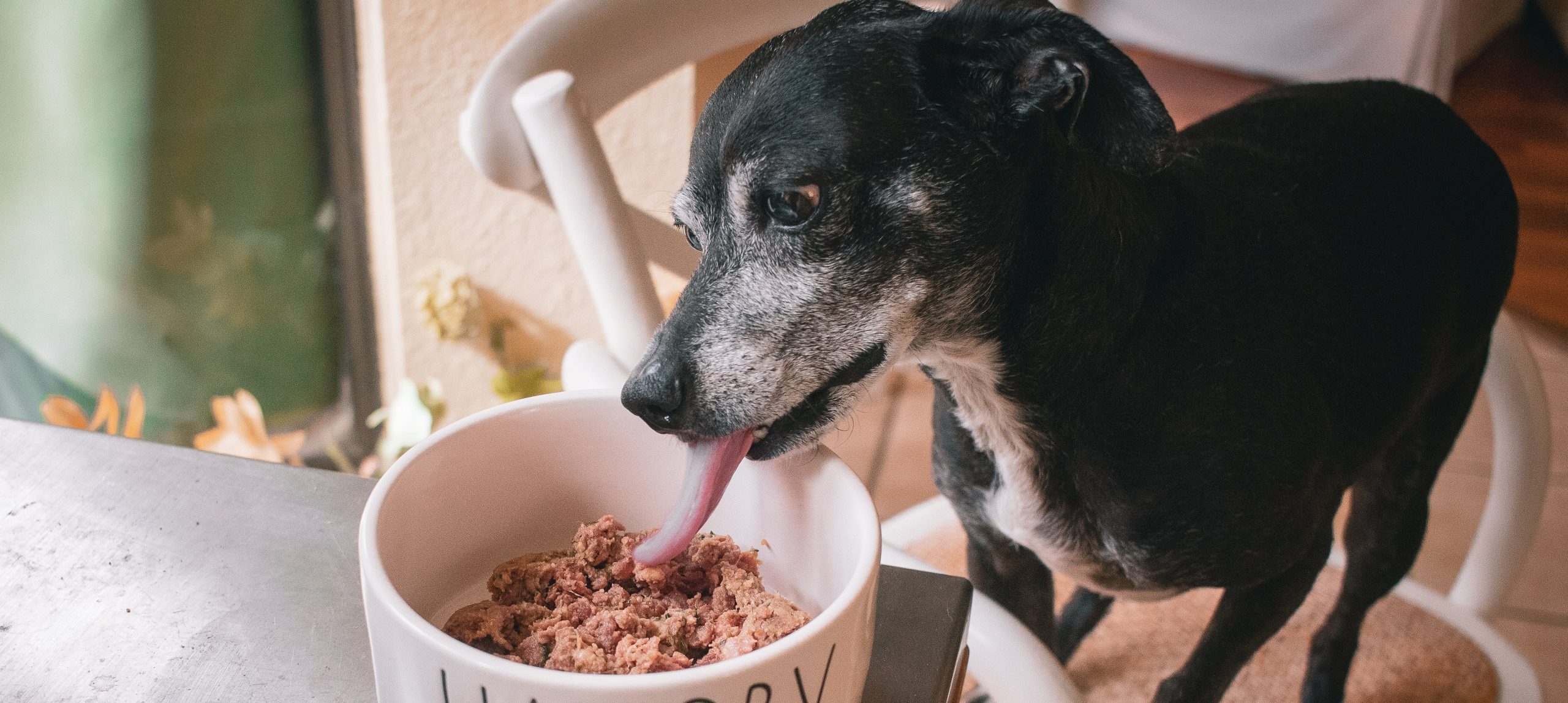 badlands ranch dog food canada