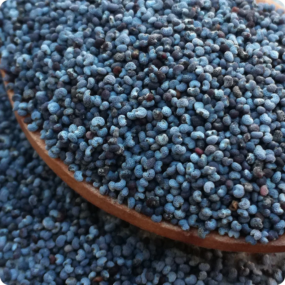 Blue poppy seeds