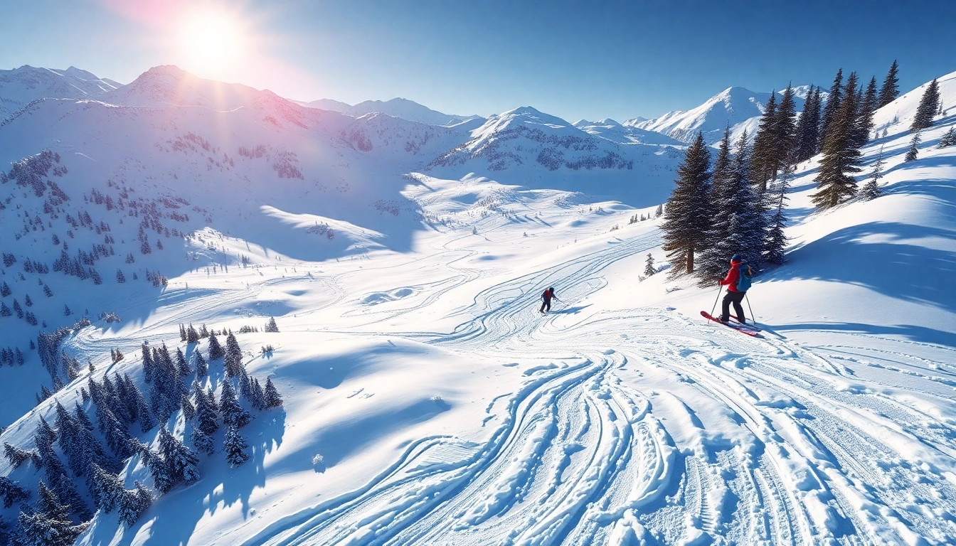 ski map