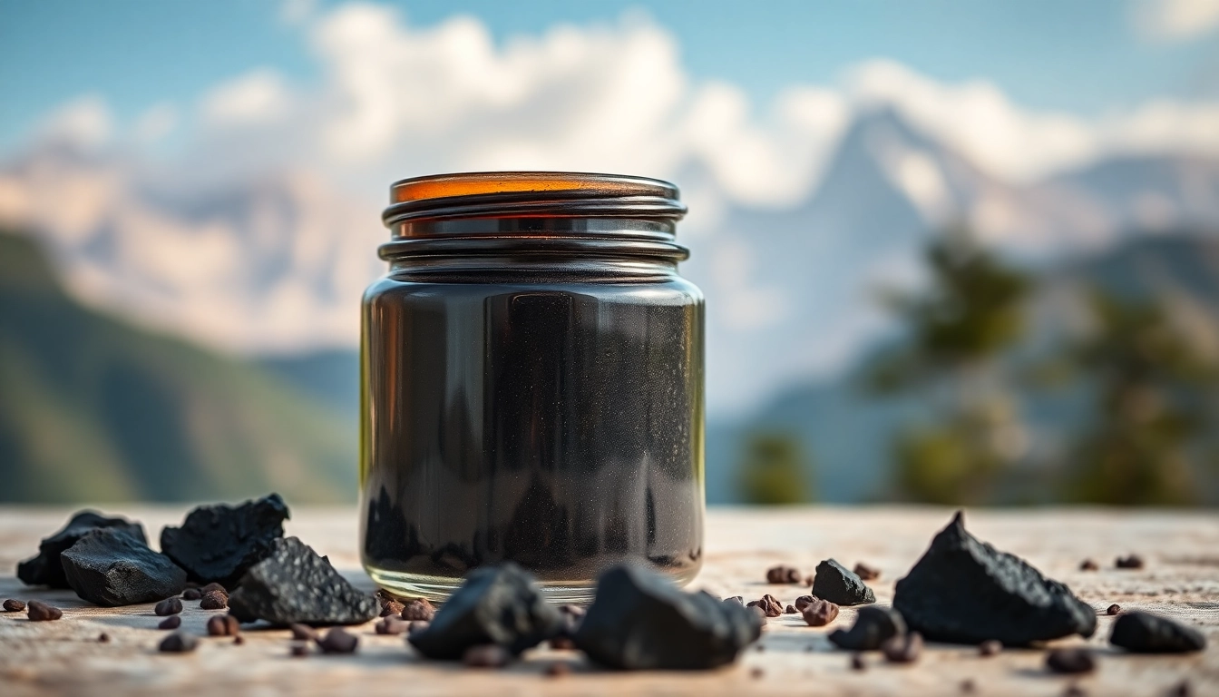 Himalaya Shilajit Resin