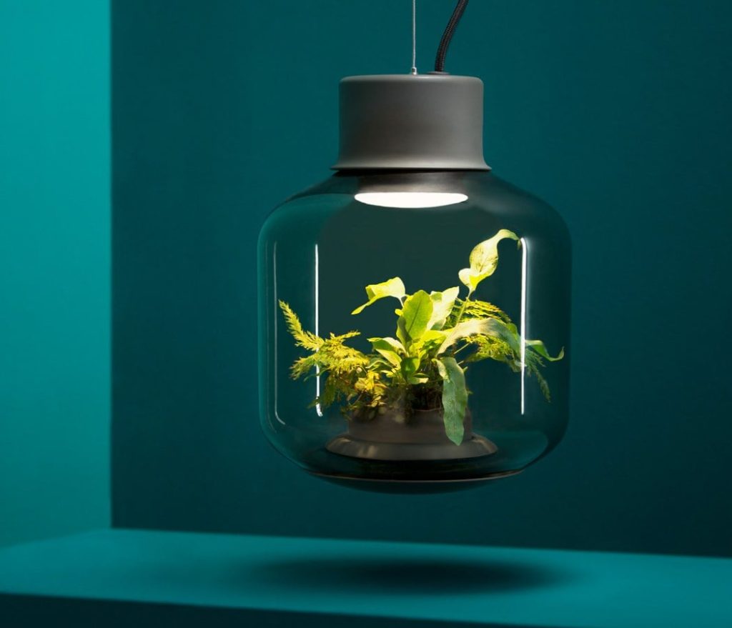 Shrimp jar