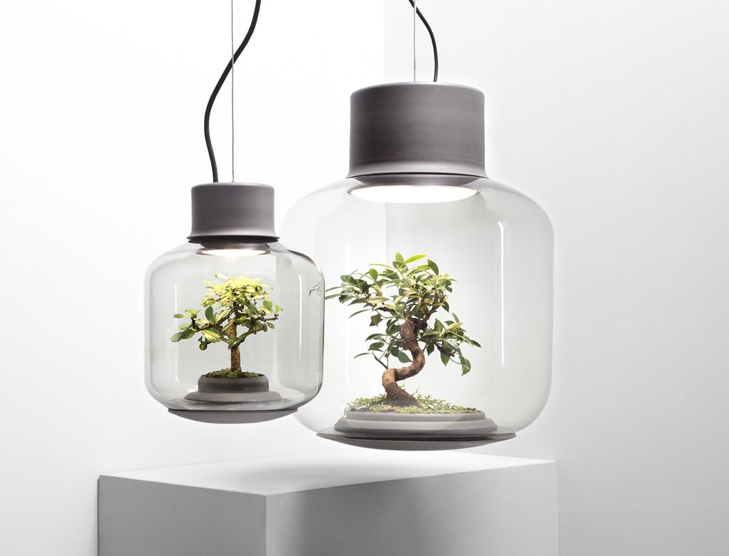 Shrimp jar